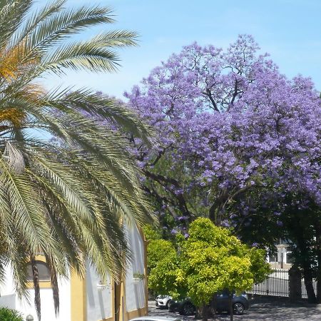 Real Escuela Home Jerez de la Frontera Bagian luar foto