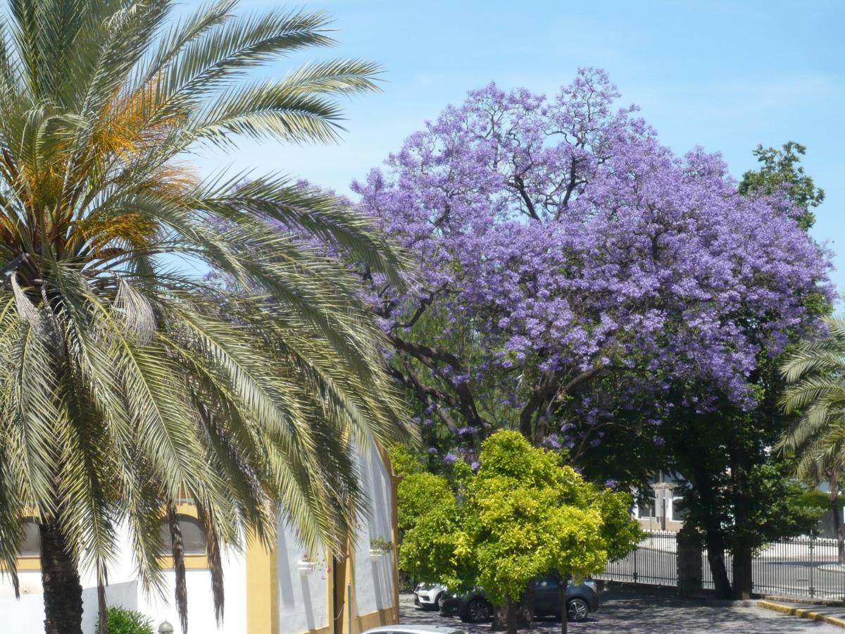 Real Escuela Home Jerez de la Frontera Bagian luar foto